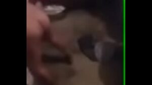 порно видео arabic egyptian