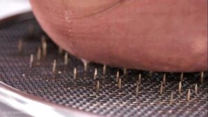 порно видео Queensnake.com — Tit Tacks 2